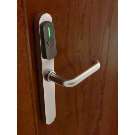 hotel door handles, locks, fire doors, and Bertolotto doors